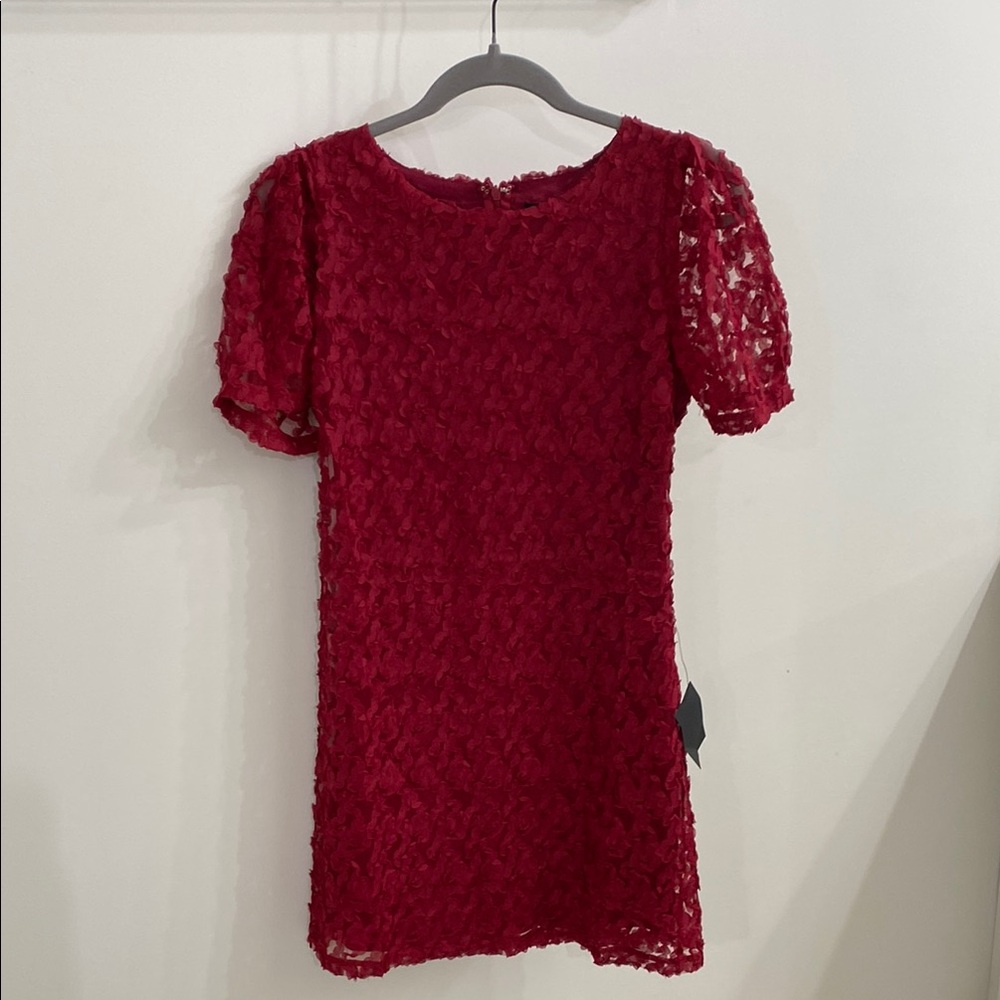 Lulu's Red Lace Dress
